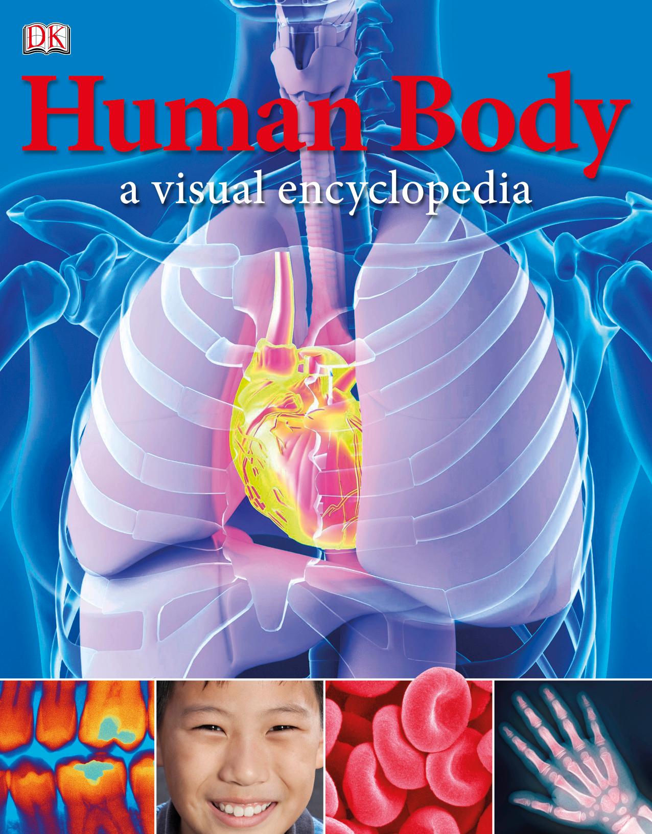 Human Body A Visual Encyclopedia by Dorling Kindersley