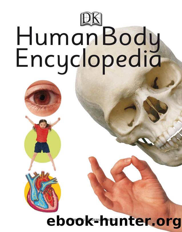 Human Body Encyclopedia by Unknown