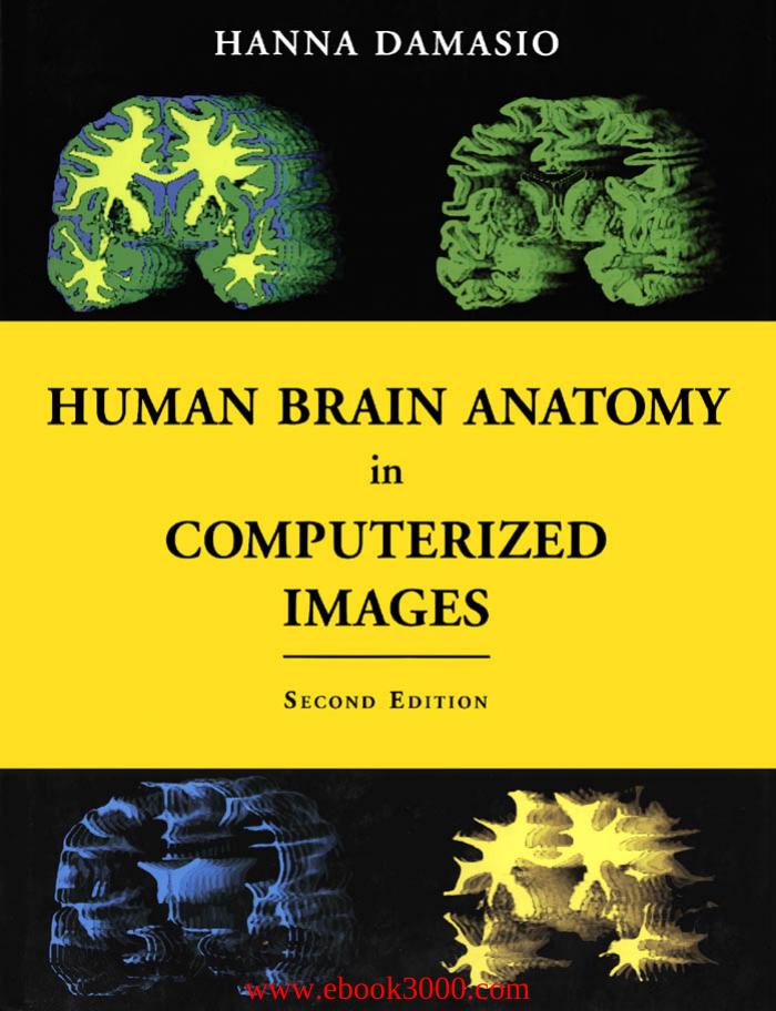 Human Brain Anatomy in Computerized Images by Unknow