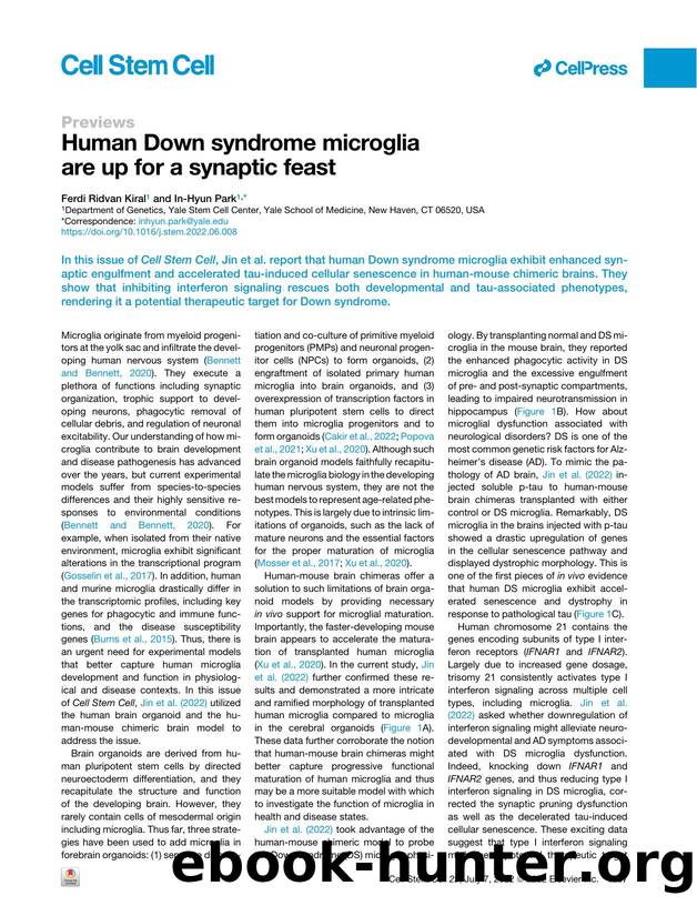 Human Down syndrome microglia are up for a synaptic feast by Ferdi Ridvan Kiral & In-Hyun Park