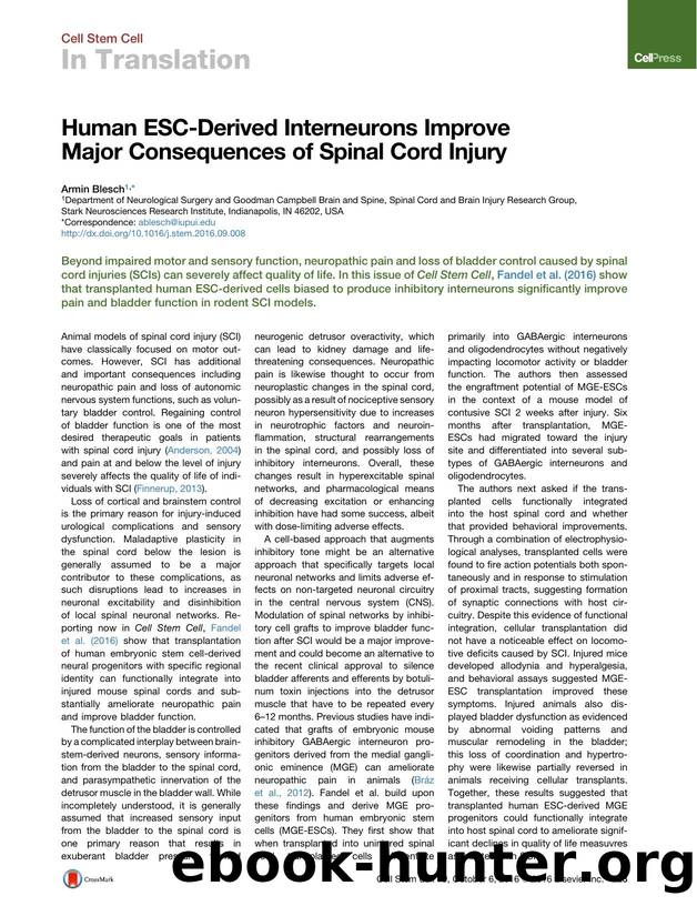 Human ESC-Derived Interneurons Improve Major Consequences of Spinal Cord Injury by Armin Blesch