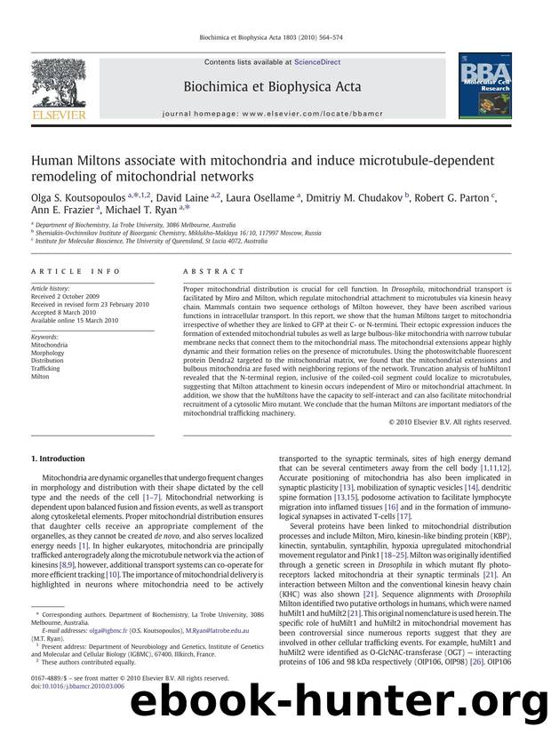 Human Miltons associate with mitochondria and induce microtubule-dependent remodeling of mitochondrial networks by unknow