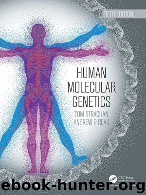 Human Molecular Genetics by Strachan Tom & Read Andrew