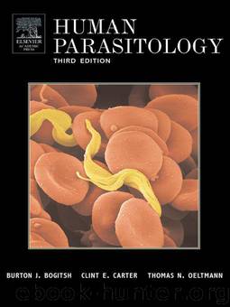 Human Parasitology, Third Edition by Bogitsh Burton J