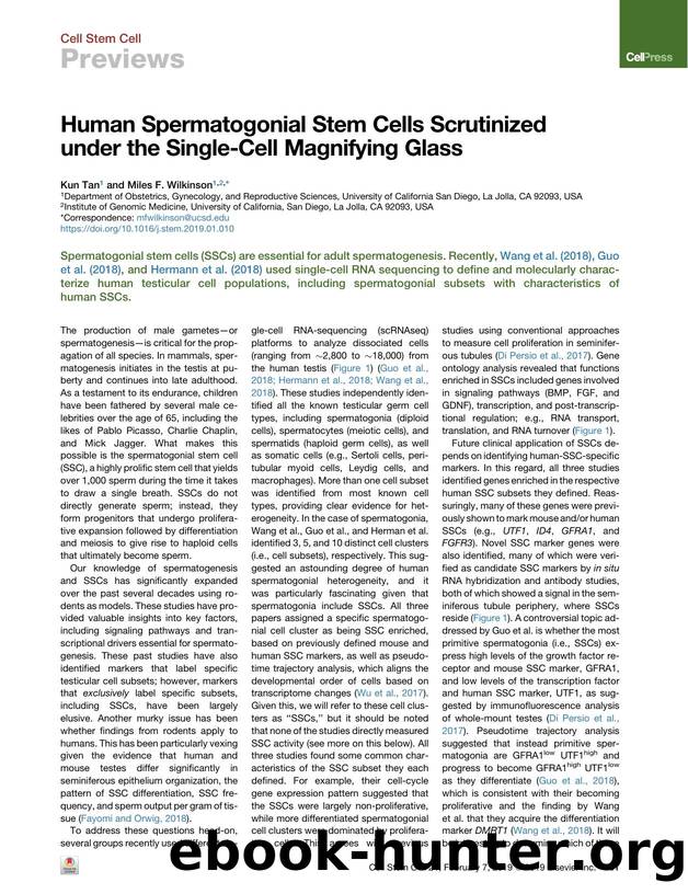 Human Spermatogonial Stem Cells Scrutinized under the Single-Cell Magnifying Glass by Kun Tan & Miles F. Wilkinson