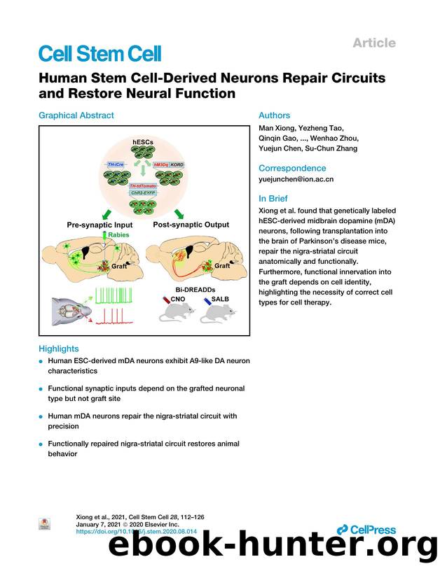 Human Stem Cell-Derived Neurons Repair Circuits and Restore Neural Function by unknow