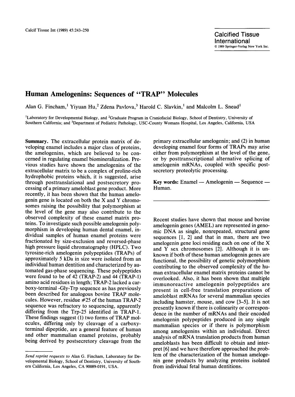 Human amelogenins: Sequences of &#x201C;TRAP&#x201D; molecules by Unknown