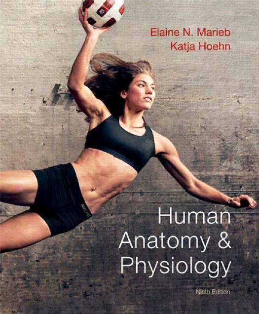 Human anatomy & physiology by Unknown