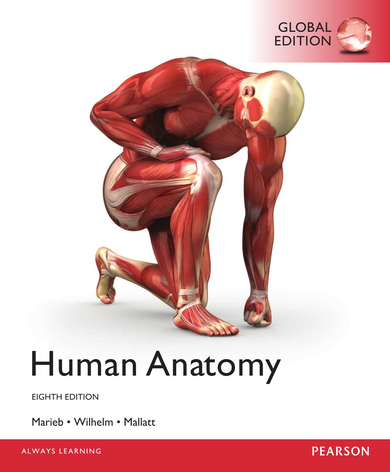 Human anatomy by Elaine Nicpon Marieb; Jon Mallatt; Patricia Brady Wilhelm
