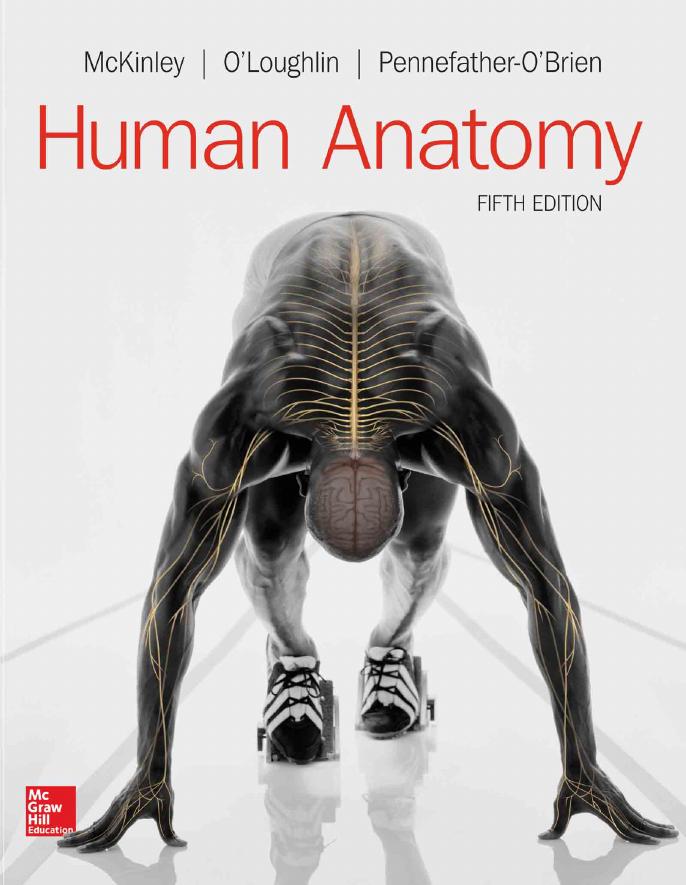 Human anatomy by Michael P. McKinley; Ronald T. Harris; Valerie Dean O'Loughlin