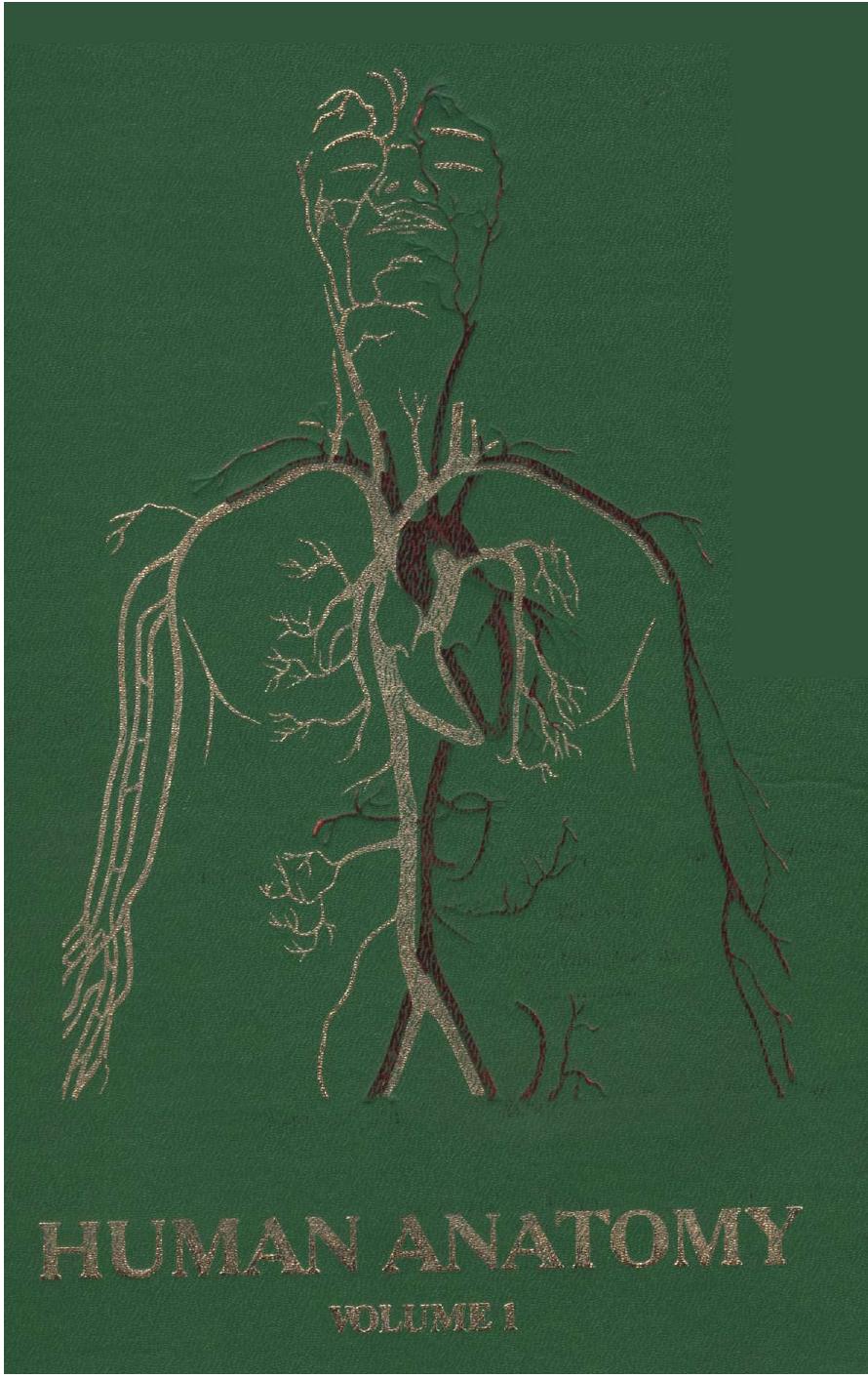 Human anatomy. In three volumes. Vol. 1 by Koveshnikov V.G