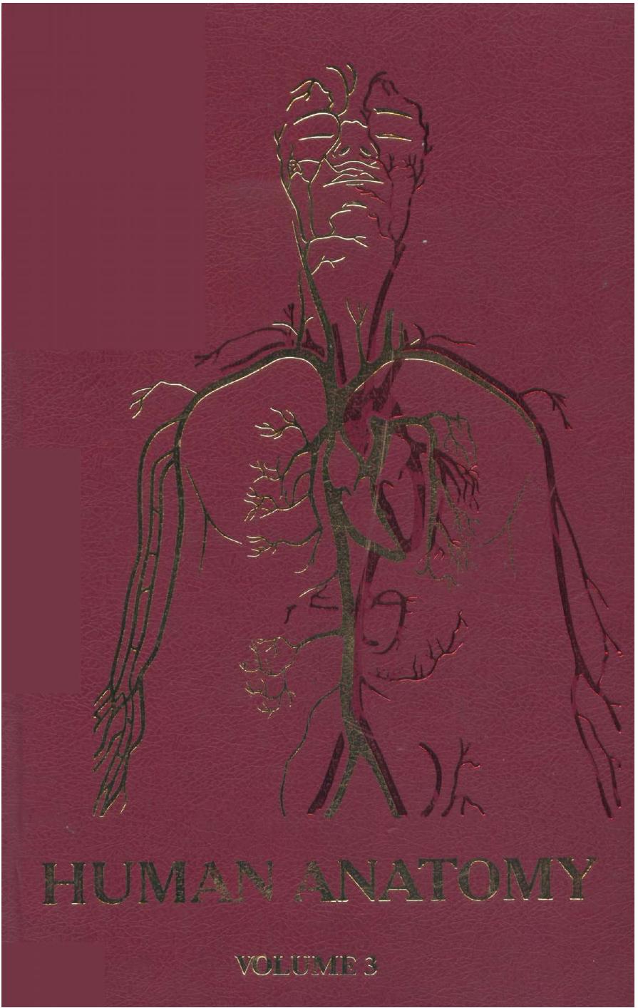 Human anatomy. In three volumes. Vol. 3 by Koveshnikov V.G
