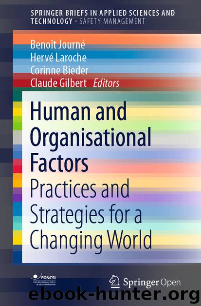 Human and Organisational Factors by Benoît Journé & Hervé Laroche & Corinne Bieder & Claude Gilbert