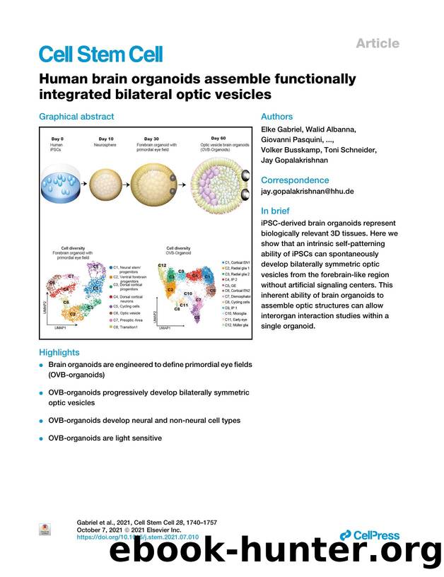 Human brain organoids assemble functionally integrated bilateral optic vesicles by unknow