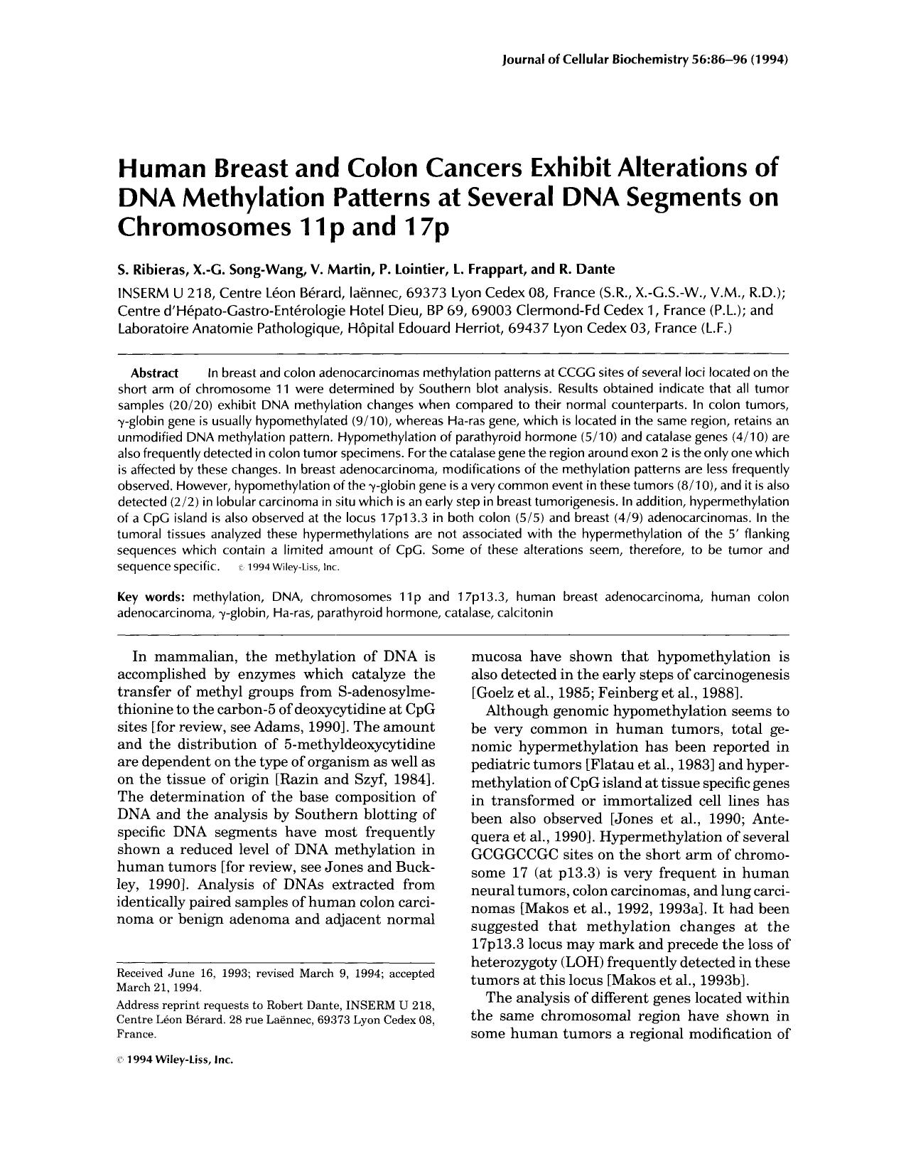 Human breast and colon cancers exhibit alterations of DNA methylation patterns at several DNA segments on chromosomes 11p and 17p by Unknown