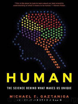 Human by Michael Gazzaniga
