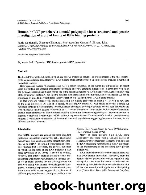 Human hnRNP protein A1: A model polypeptide for a structural and genetic investigation of a broad family of RNA binding proteins by Unknown