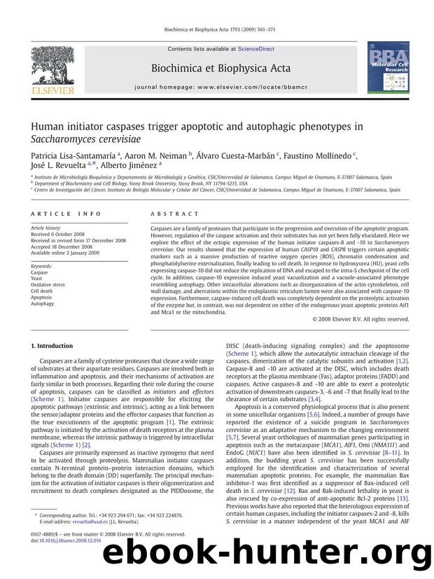 Human initiator caspases trigger apoptotic and autophagic phenotypes in Saccharomyces cerevisiae by unknow