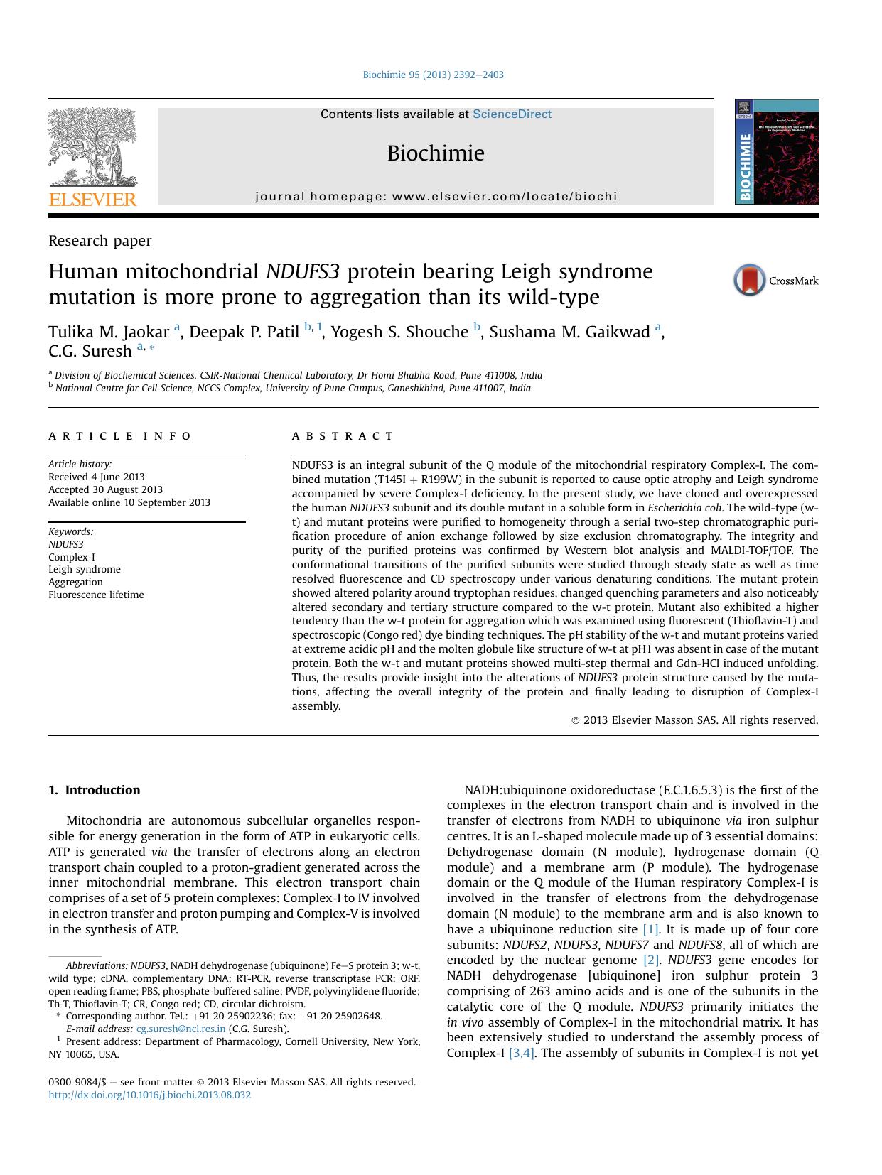Human mitochondrial NDUFS3 protein bearing Leigh syndrome mutation is more prone to aggregation than its wild-type by Tulika M. Jaokar & Deepak P. Patil & Yogesh S. Shouche & Sushama M. Gaikwad & C.G. Suresh