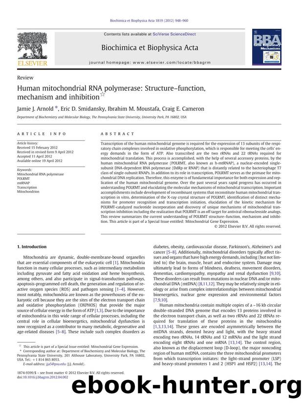 Human mitochondrial RNA polymerase: Structureâfunction, mechanism and inhibition by Jamie J. Arnold & Eric D. Smidansky & Ibrahim M. Moustafa & Craig E. Cameron