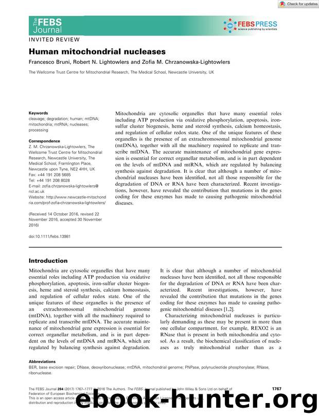 Human mitochondrial nucleases by Unknown
