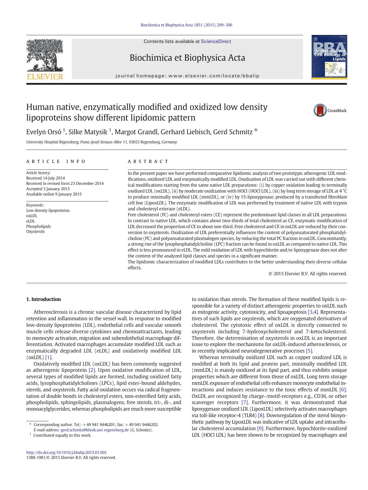 Human native, enzymatically modified and oxidized low density lipoproteins show different lipidomic pattern by Evelyn Orsó & Silke Matysik & Margot Grandl & Gerhard Liebisch & Gerd Schmitz