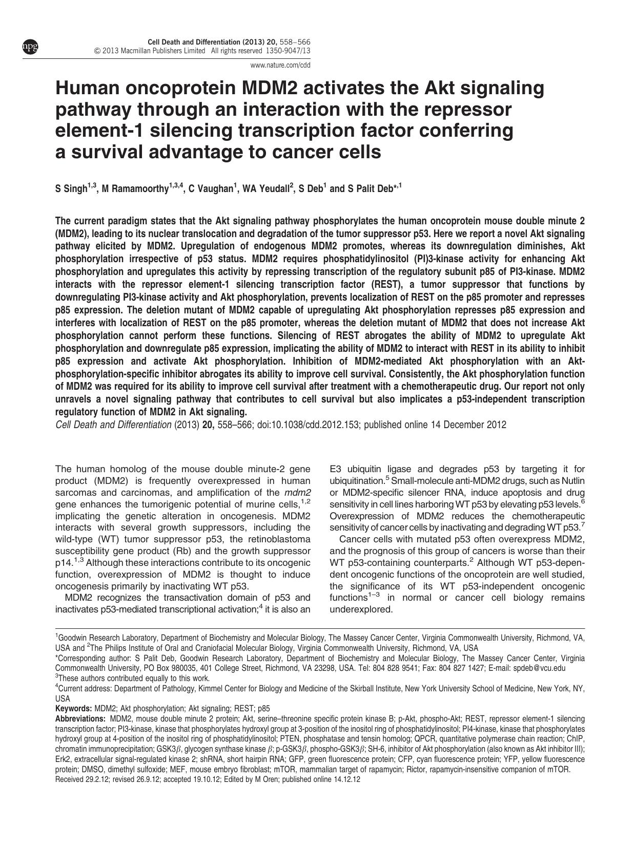 Human oncoprotein MDM2 activates the Akt signaling pathway through an interaction with the repressor element-1 silencing transcription factor conferring a survival advantage to cancer cells by S Singh & M Ramamoorthy & C Vaughan & W A Yeudall & S Deb & S Palit Deb