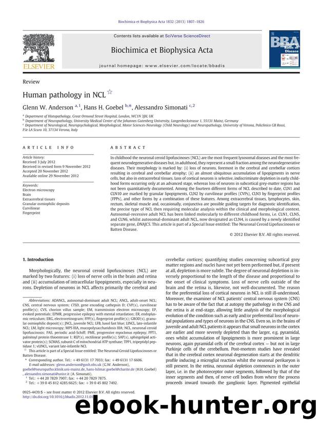 Human pathology in NCL by Glenn W. Anderson & Hans H. Goebel & Alessandro Simonati