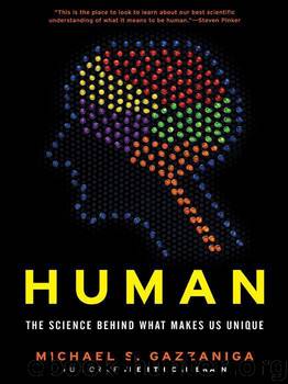Human: The Science Behind What Makes Your Brain Unique by Michael S. Gazzaniga