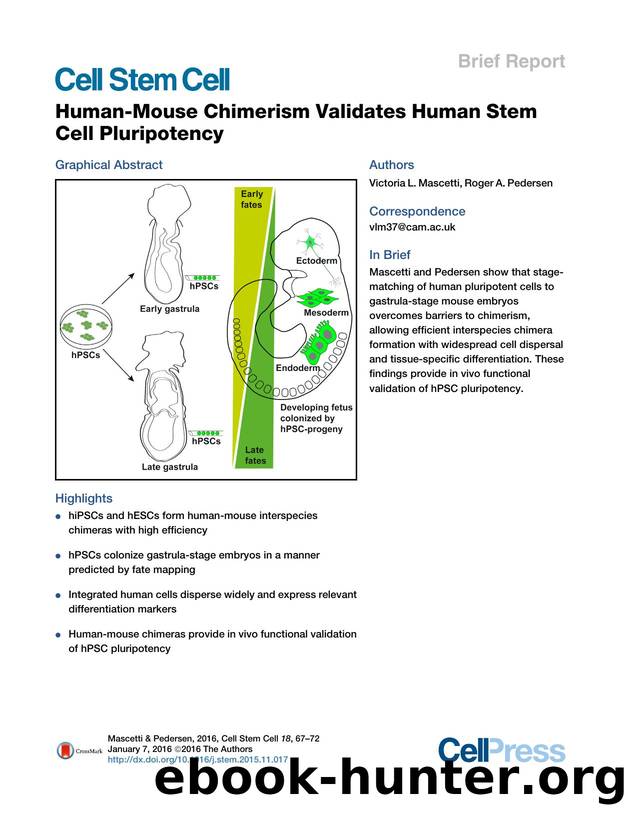 Human-Mouse Chimerism Validates Human Stem Cell Pluripotency by Victoria L. Mascetti & Roger A. Pedersen