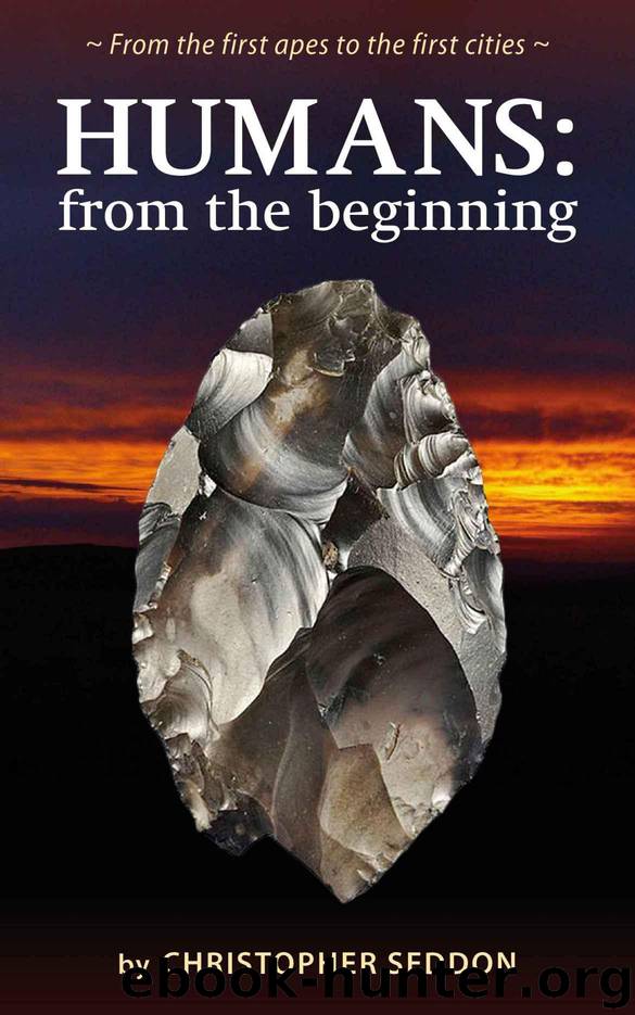 Humans: from the beginning: From the first apes to the first cities by Christopher Seddon