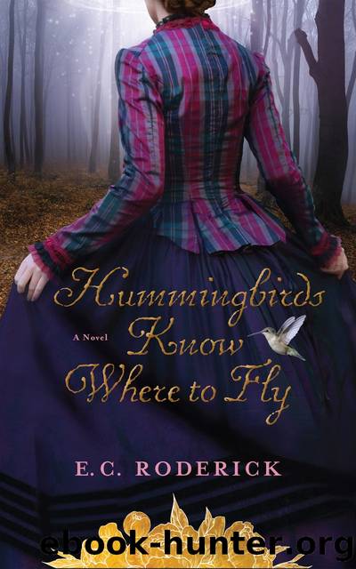 Hummingbirds Know Where to Fly by E. C. Roderick