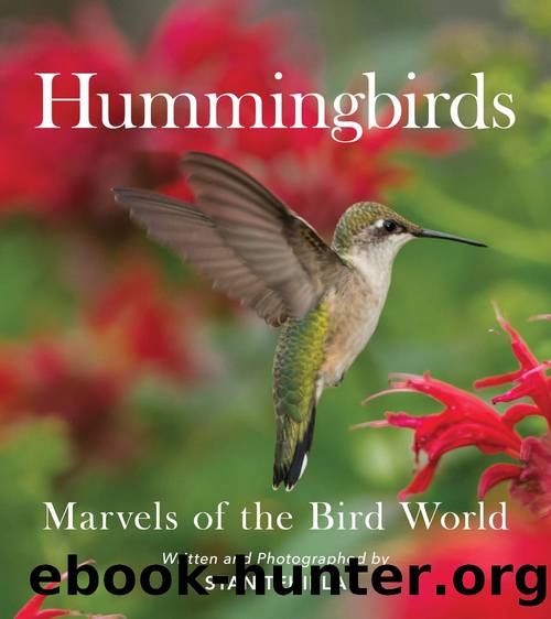 Hummingbirds by Stan Tekiela