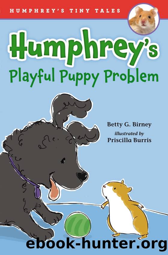 Humphrey's Playful Puppy Problem by Betty G. Birney