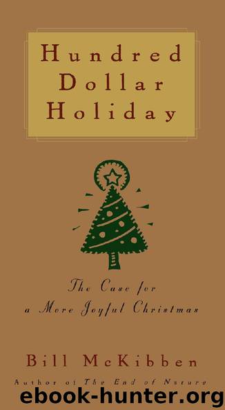 Hundred Dollar Holiday by Bill McKibben