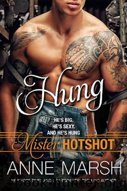 Hung (Mister Hotshot Book 1) by Anne Marsh