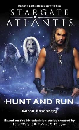 Hunt and Run by Aaron Rosenberg