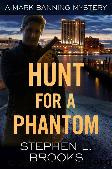 Hunt for a Phantom by Stephen L Brooks