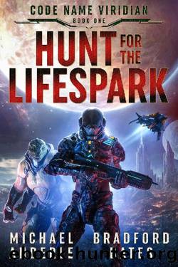 Hunt for the Lifespark by Bradford Bates & Michael Anderle