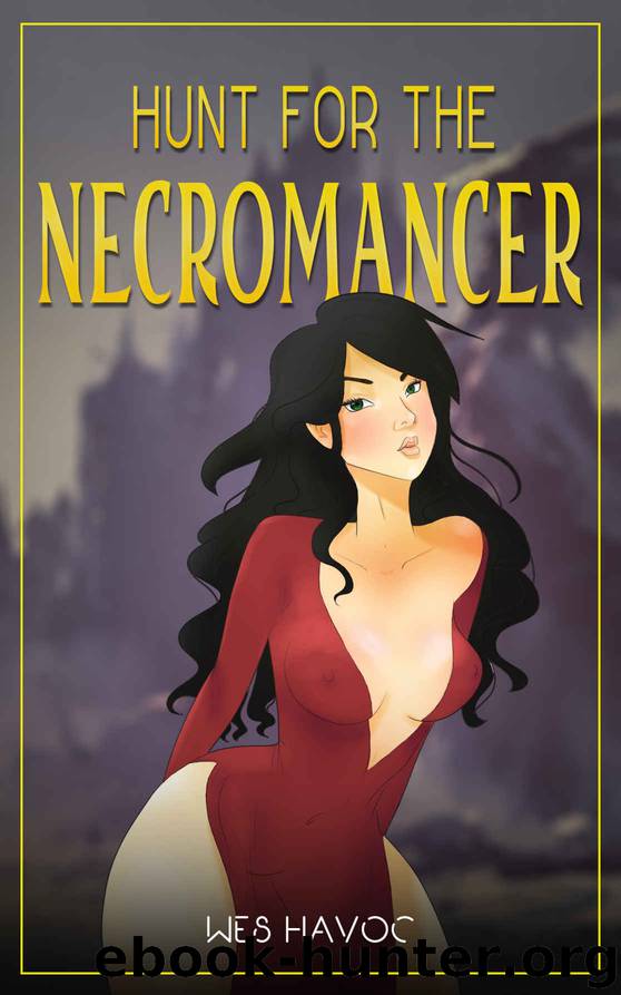 Hunt for the Necromancer- The Complete Series by Wes Havoc
