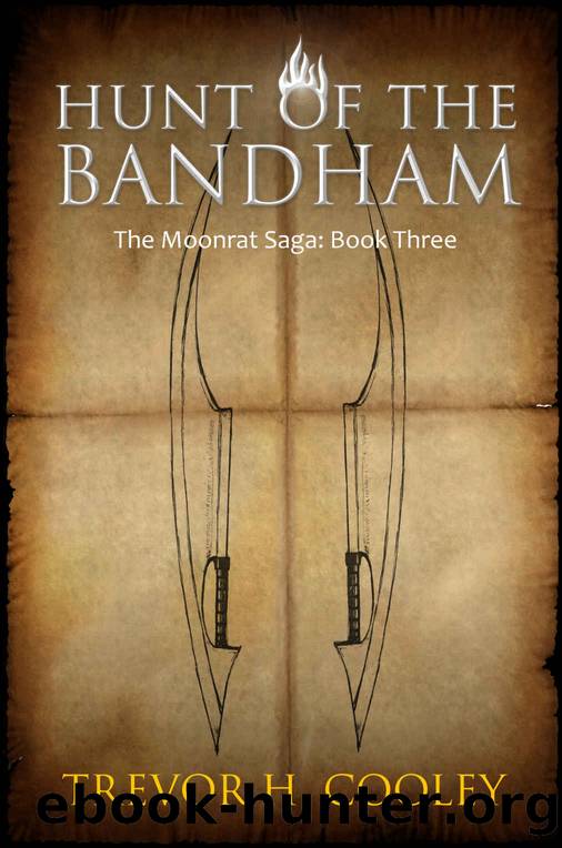 Hunt of the Bandham (The Bowl of Souls Book 3) by Trevor H. Cooley