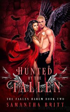 Hunted by the Fallen~A Fallen Angel Reverse Harem Novel by Samantha Britt