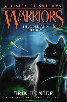 Hunter, Erin - Warriors: A Vision of Shadows 02 - Thunder and Shadow by Hunter Erin