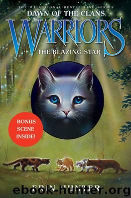 Hunter, Erin - Warriors: Dawn of the Clans 04 - The Blazing Star by Hunter Erin