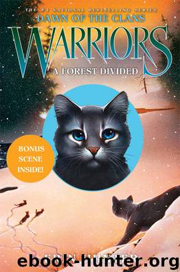 Hunter, Erin - Warriors: Dawn of the Clans 05 - A Forest Divided by Hunter Erin