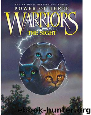 Hunter, Erin - Warriors: Power of Three 01 - The Sight by Hunter Erin