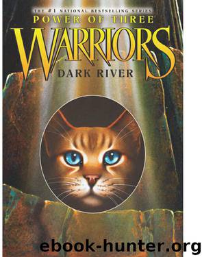 Hunter, Erin - Warriors: Power of Three 02 - Dark River by Hunter Erin