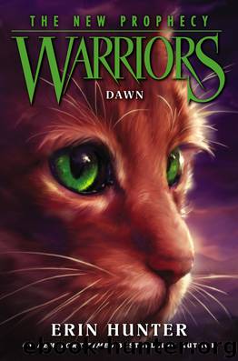 Hunter, Erin - Warriors: The New Prophecy 03 -Dawn by Hunter Erin