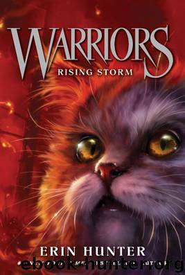 Hunter, Erin - Warriors: The Prophecies Begin 04 - Rising Storm by Hunter Erin