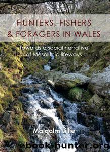 Hunters, Fishers and Foragers in Wales by Little Malcolm;